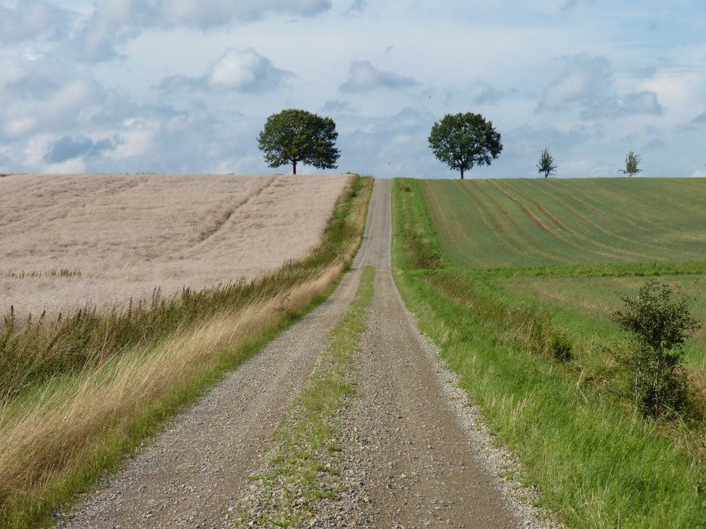 Über mich Mein Weg